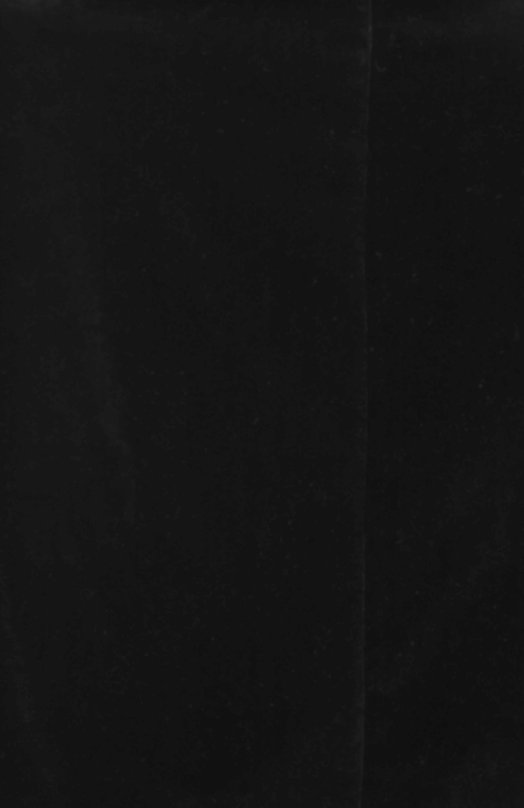 Хлопковая юбка | Tom Ford | Чёрный - 3